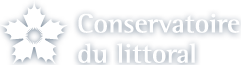 conservatoire logo